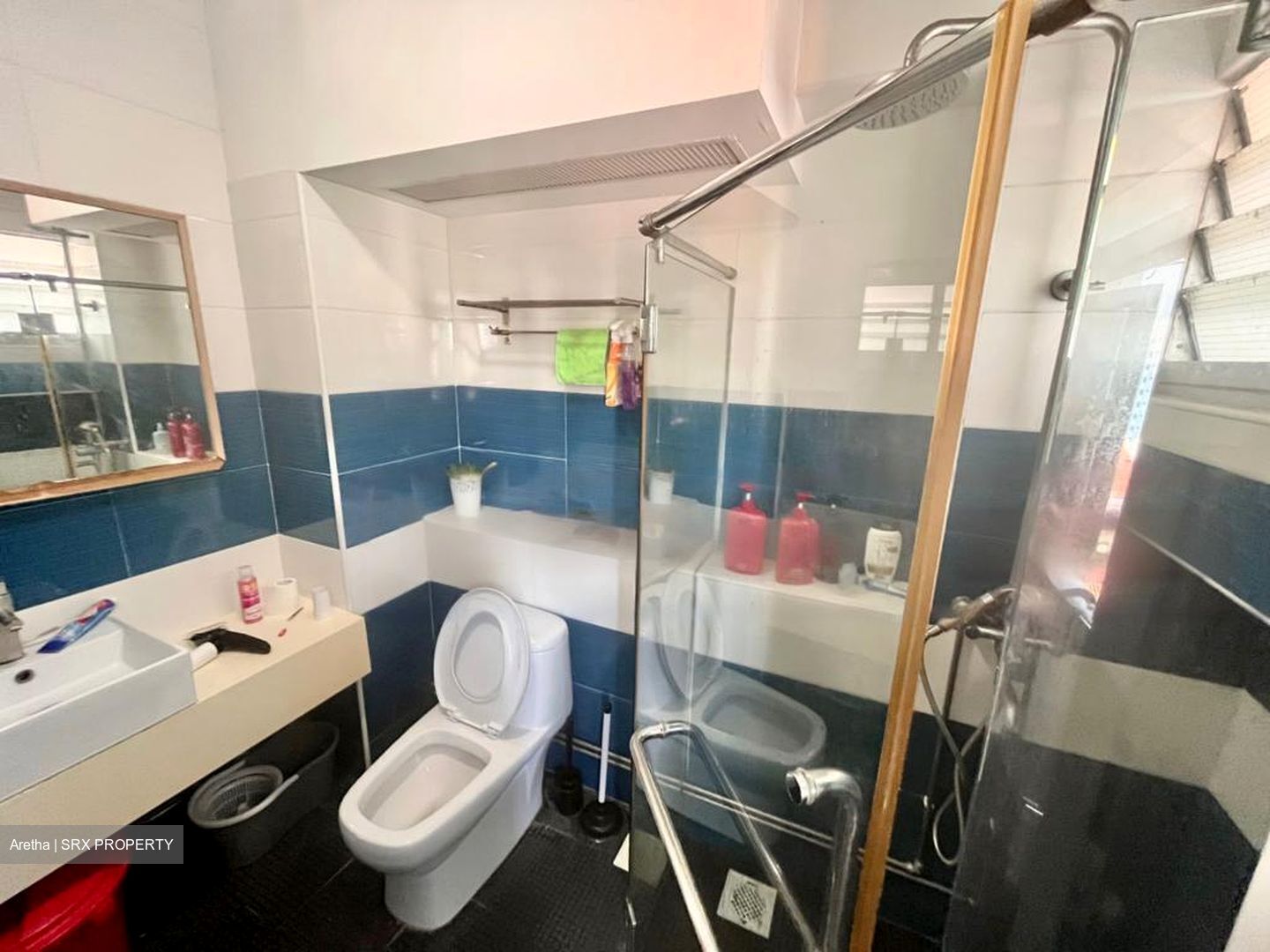 Blk 243 Pasir Ris Street 21 (Pasir Ris), HDB Executive #481435401